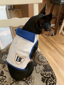 Doggie Outfit For Small Breed, 5/7 Pounds Wright