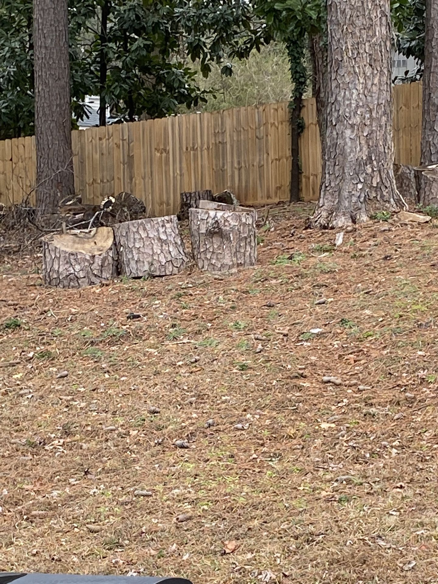 Free Firewood Logs
