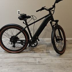 Turris XR level 2-3 E Bike
