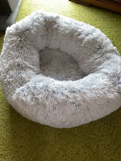 New Dog bed