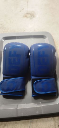 DEFY Boxing Gloves 16 oz