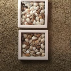 Seashell Shadow Boxes