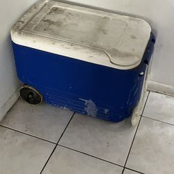 $10, 38 Qt Cooler 