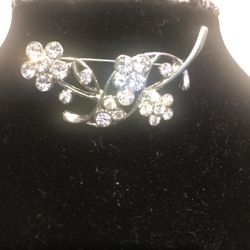 Woman’s brooch/Jewelry