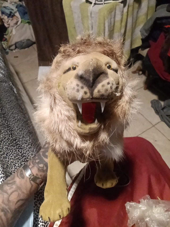 Collections And Toys