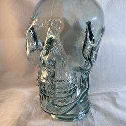 Glass Skeleton Skull Mannequin Head Halloween Prop