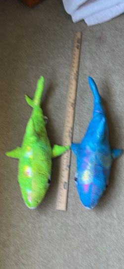 Sharks