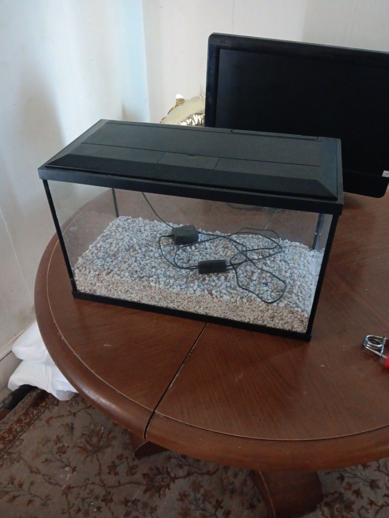 Fish Tank