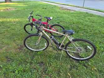 Bicycle