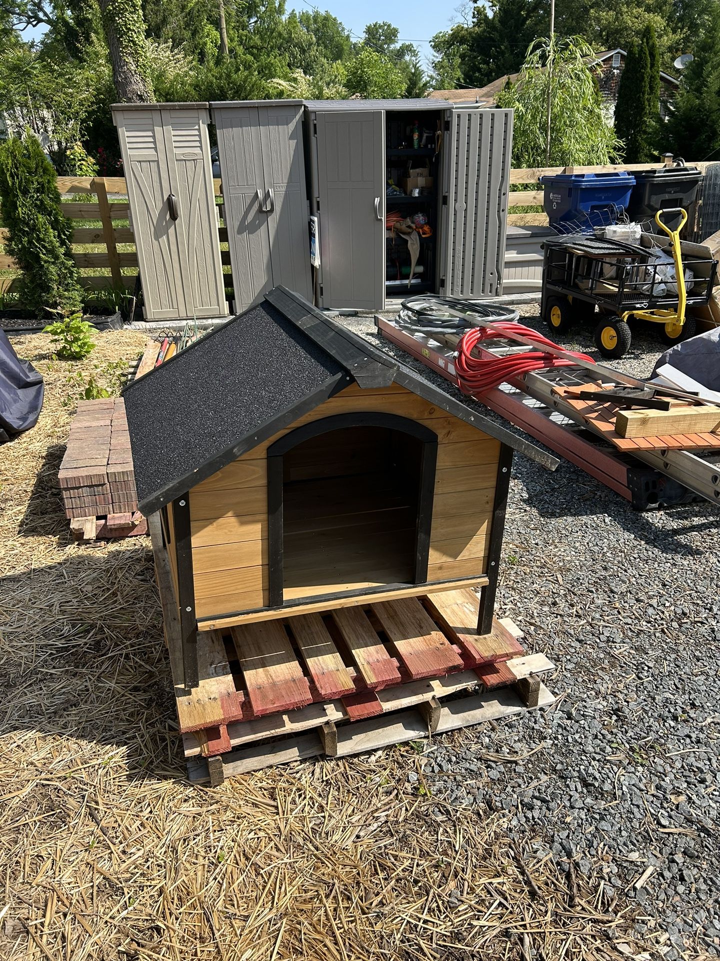 Dog Kennel Outdoor 