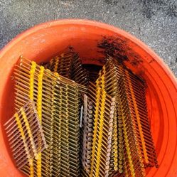 Full Box Of 3 Inch Long Nails