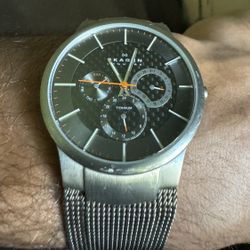 Skagen Watch