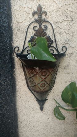 Outdoor wall plant holders
