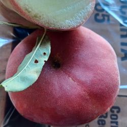 Fresh Produce