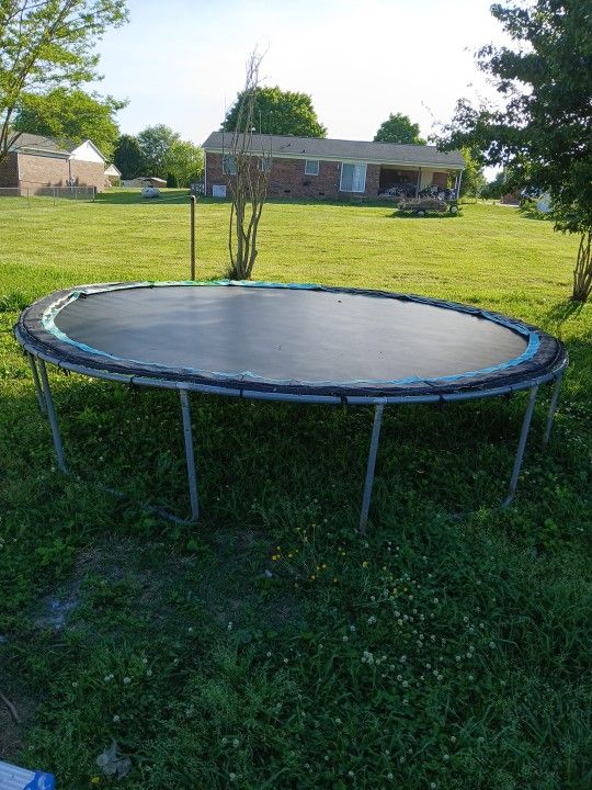 Trampoline