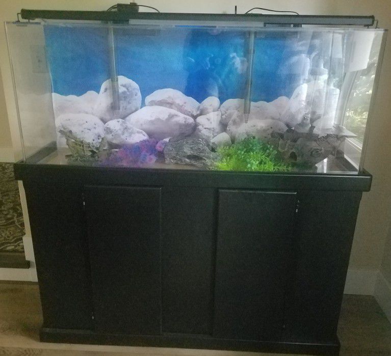 CLEAR FOR LIFE ACRYLIC RECTANGLE TANK 55 GALLON W/BACKGROUND  SCENERY , HOOD NOT  SHOWN & 2 FLUVAL 70 POWER FILTERS.