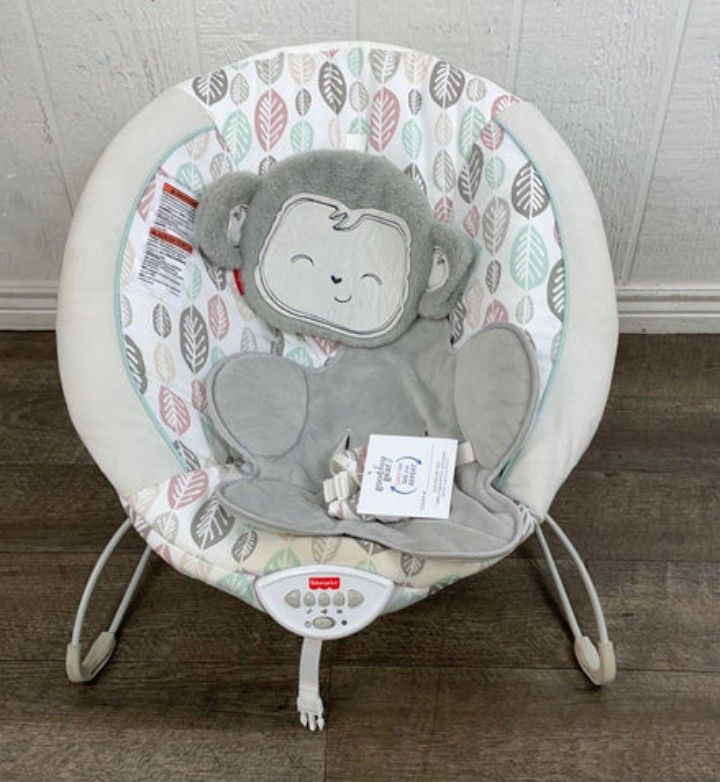Baby Bouncer