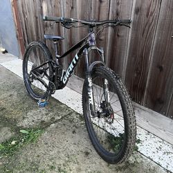 2021 Giant Mountain Bike