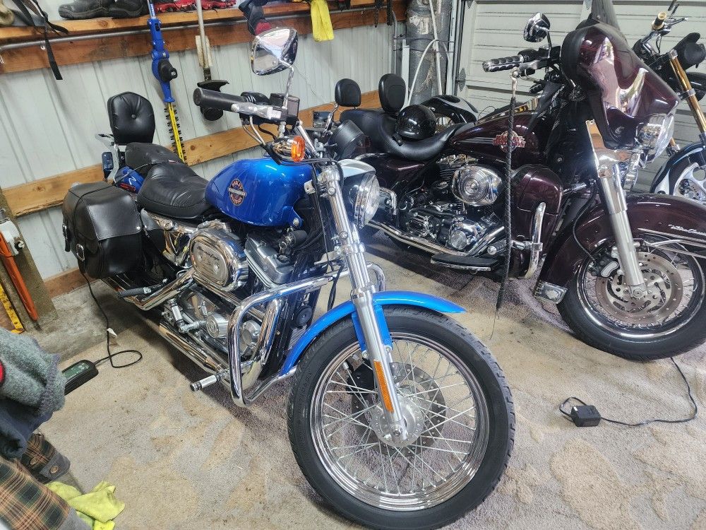 2002 Harley-Davidson Sportster 883