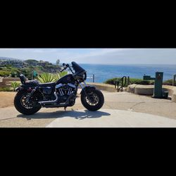 2019 Harley Davidson Sportster Forty-Eight 1200