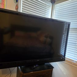 VIZIO E-Series or SV-Series LCD HDTV