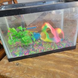 Fish Tank 