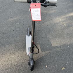 Electric Scooter (BRAND NEW)