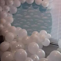 Balloon Decorations / Party Balloons