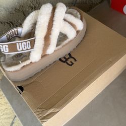 Uggs 