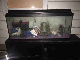 4 foot Aquarium