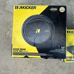 Kicker Subwoofer