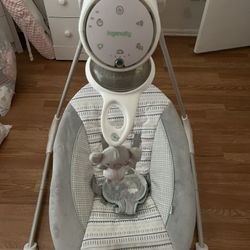 Ingenuity Baby Swing 