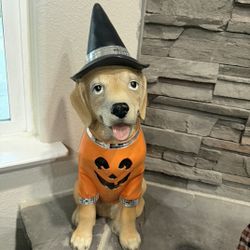 Halloween Dog