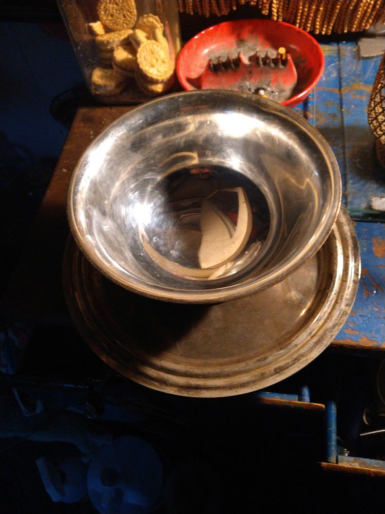Real Silver Bowl And Plant
