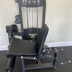 Temple of Gainz Leg extension Machine