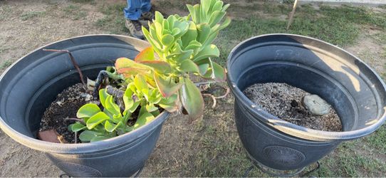 Large Black Decorative Planters – Set of 2