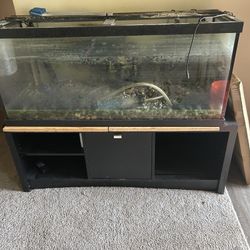 75 Gallon Fish Tank And Stand