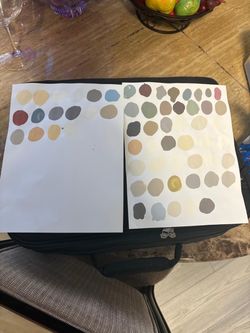 55 take of Sherwin William paint brand new