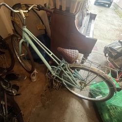 Schwinn Adult bike