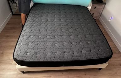 Queen Mattress + Box Spring + Frame Included