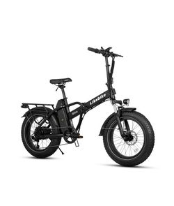 New Electric Bike 