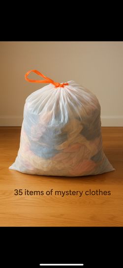 Mystery Bag Of Clothes Plus Purse!