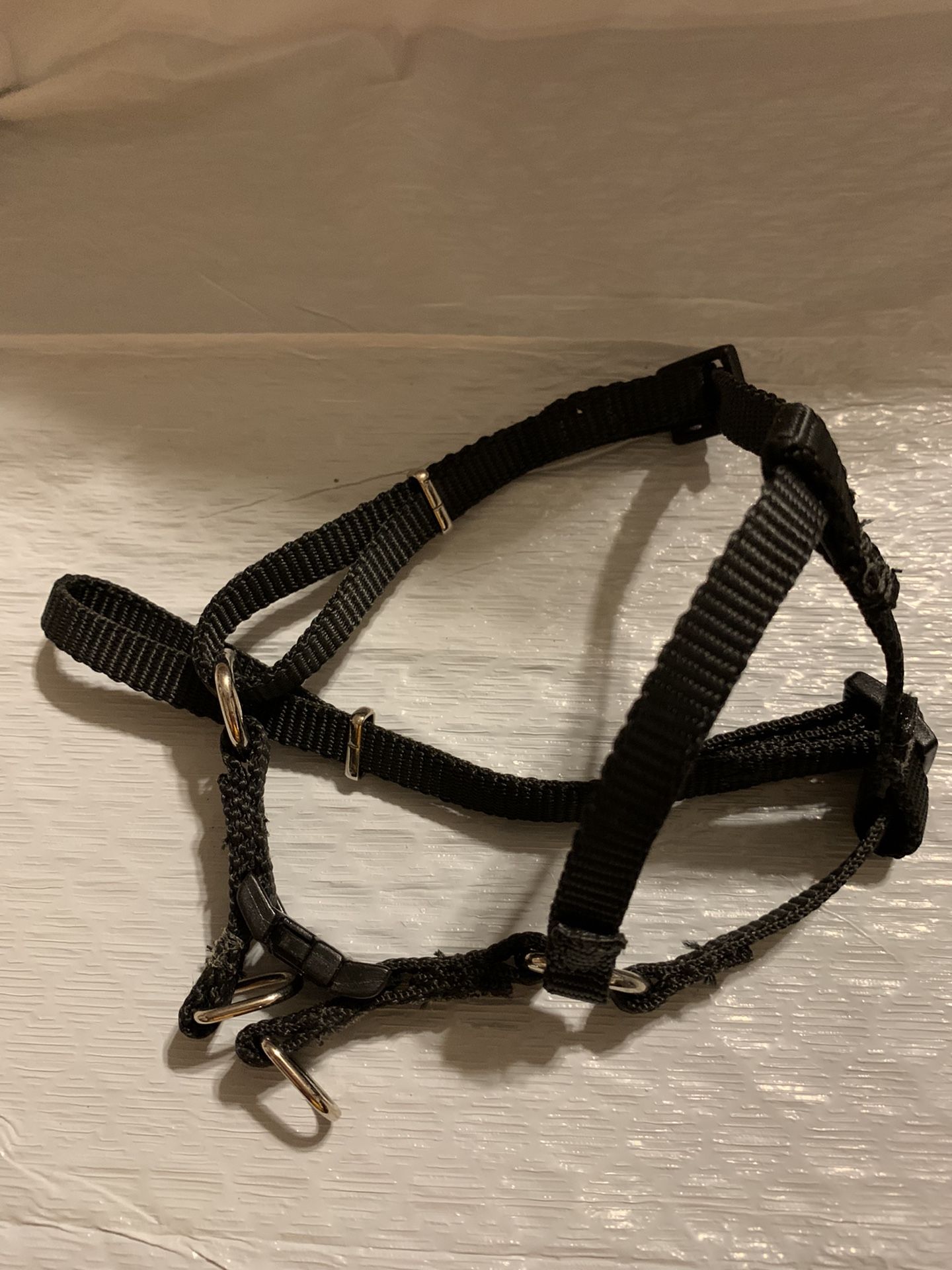 D-13 Expandable Small Dog Or Cat Harness. Size Small Black Color $3