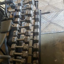 5-50 Hex Dumbells Set With Rack (550lbs)