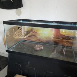 40 Gallon Reptile Tank 