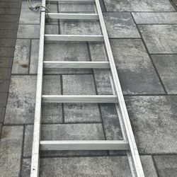Ladder 19ft  Straight