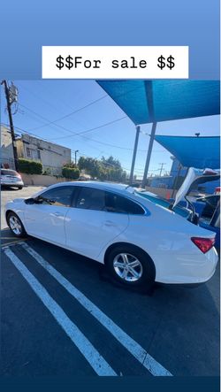 Chevrolet Malibu White Sedan