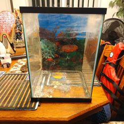 10 Gallon Fish Tank Square