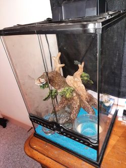 Nice Set Up& Sand BOA