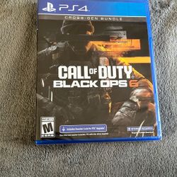Black ops 6